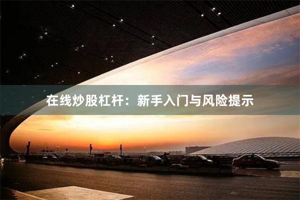 在线炒股杠杆:新手入门与风险提示